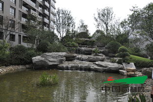 普天園林問鼎2014中國風(fēng)景園林學(xué)會優(yōu)秀園林工程大金獎(jiǎng)，假山藝術(shù)再創(chuàng)輝煌