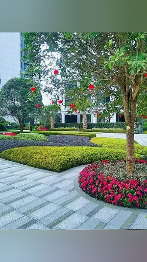 無(wú)需艷羨別人的風(fēng)景，腳下的路終會(huì)繁花似錦